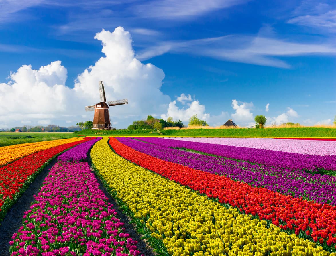 Rhein — Holland & Belgien